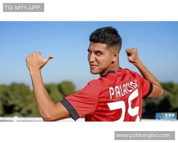 足球明星宋扬的辉煌历程与成就全解析